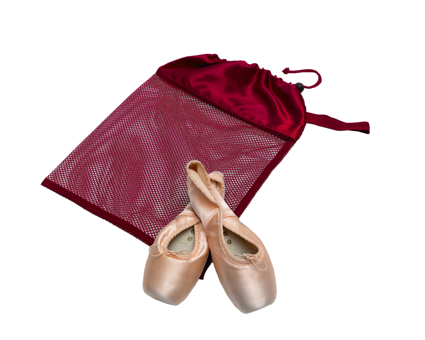 Mesh Shoe Bag